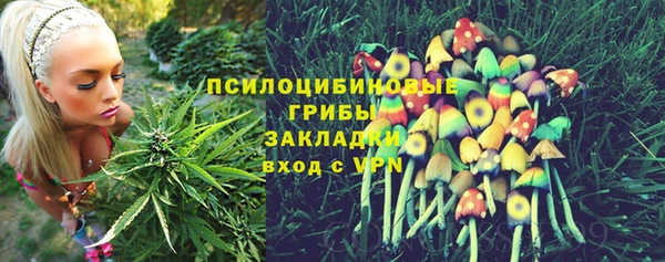 винт Алексин