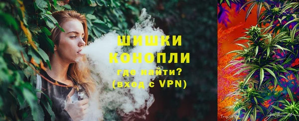 стаф Абинск