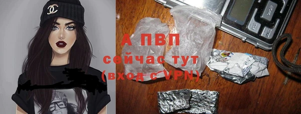 стаф Абинск