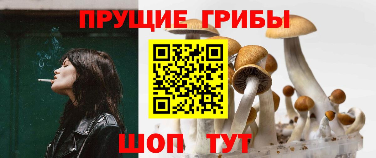 Галлюциногенные грибы Psilocybine cubensis Соликамск